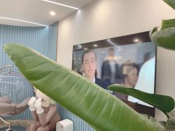 点击看大图 -久匠·野生眉半永久纹绣
