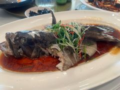 -老洋房花园饭店(绍兴路店)