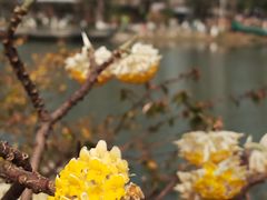 -玄武湖景区-情侣园游乐场