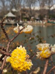 -玄武湖景区-情侣园游乐场