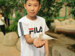 -北戴河集发农业梦想王国