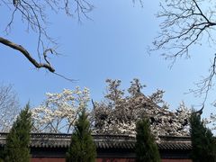 -钱王祠