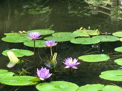 -华南国家植物园-售票处