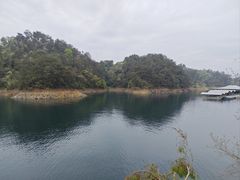 -绿城千岛湖喜来登度假酒店