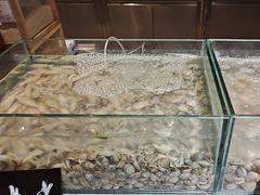 -太原富力万达文华酒店·美食汇西餐厅