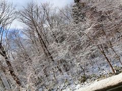 -支芴洞爷国立公园