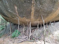 -火炉山森林公园