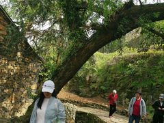 -许家山