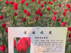 -院士公园