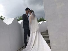 -百万葵园