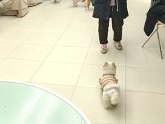 -怪兽屋·羊驼·猫咖·狗咖(俊华广场店)