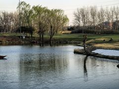 -万柳高尔夫俱乐部