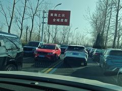 -盐城丹顶鹤湿地生态旅游区