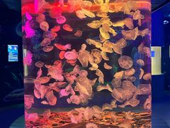 -多彩贵州城极地海洋世界