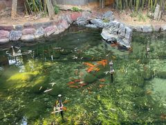 -华雅花园大酒店