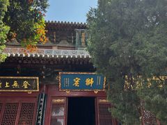 -洛阳白马寺