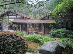 -中国茶叶博物馆(双峰馆区)