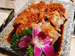 -同仁四季椰子鸡(福田东园总店)