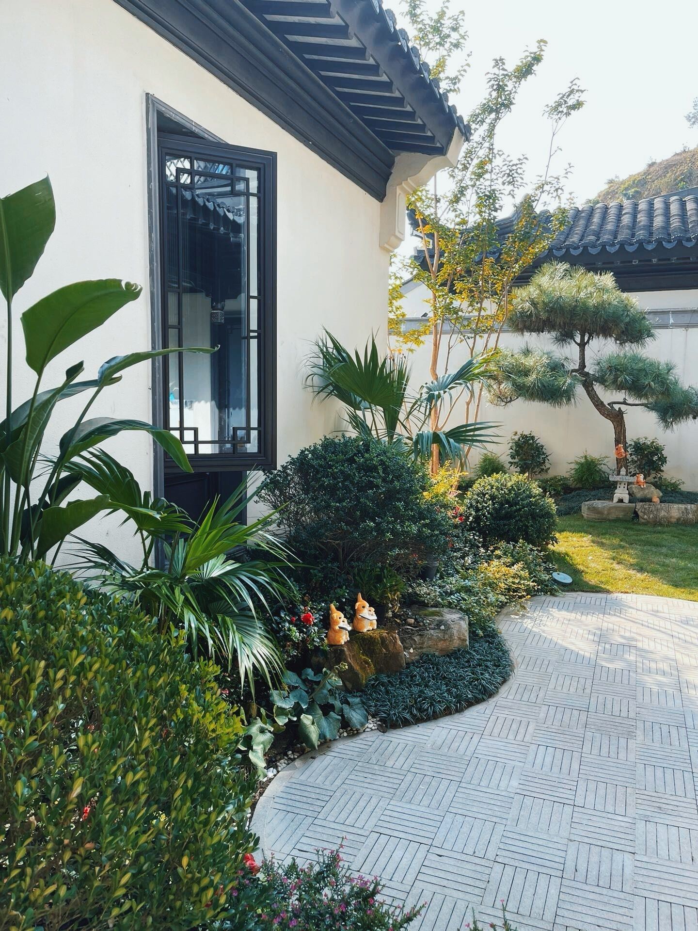 中式合院太美了,每天都想赖在这里