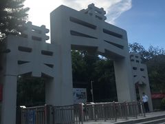 -宋井风景区