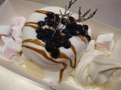 -狐狸和向日葵(北京路店)