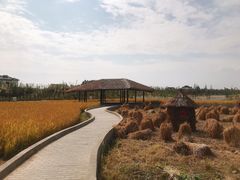-MUSEO COFFEE咖啡博物馆