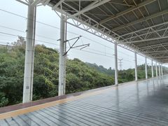 -岳阳东站