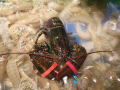 -三个渔夫·蒸汽海鲜(小白楼店)