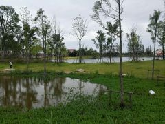 -上海长兴岛郊野公园