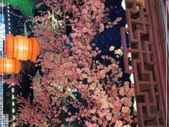 -荷塘秋月·本帮江浙菜(国权路店)