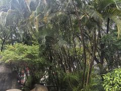 -江头公园