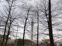 -海心沙亚运公园