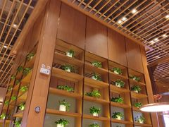 -西贝(华发商都店)