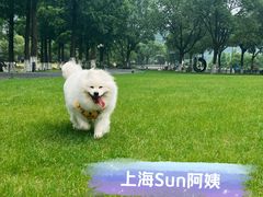 -东钱湖旅游度假区