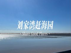 -刘家湾赶海园