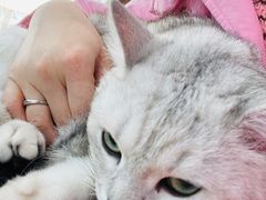 -宠颐生中康贝怡动物医院