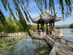 -江心屿景区