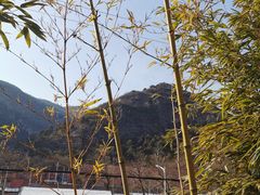 -北京上方山国家森林公园