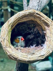 -Zoolung Zoolung动物主题公园(海信广场店)