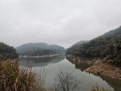 -长沙黑麋峰国家森林公园