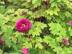 -西工饭庄快餐厅(西工小街店)