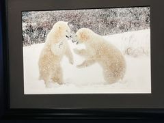 -罗红摄影艺术馆