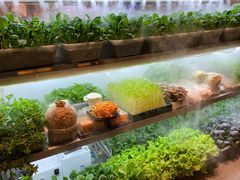 -鲜货俚鲜火锅(青果路店)
