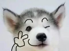 -多克多蒸气茶DOKDO(鼓楼绿地店)
