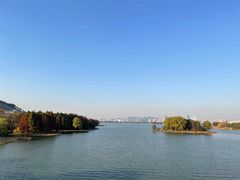 -长广溪湿地公园