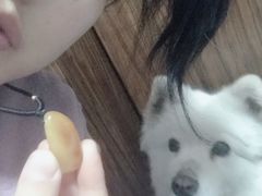 -PETKIT小佩宠物(古北店)