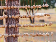 -五角枫生态旅游景区