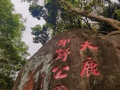 -天鹿湖森林公园