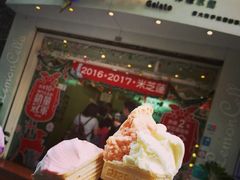 -柠檬车露(卖草地店)