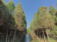 -捞渔河湿地公园